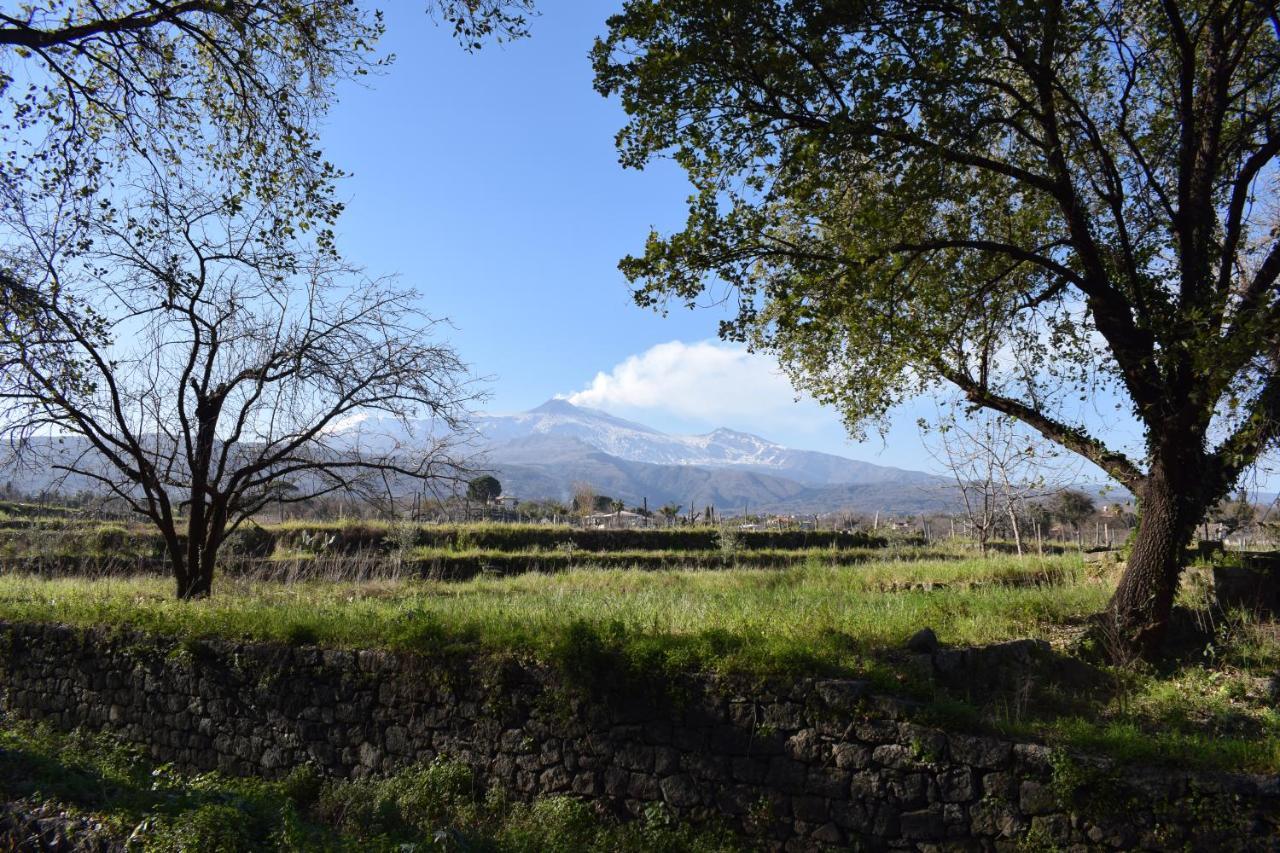 Вилла Etna Tra Le Querce Санта-Венерина Экстерьер фото